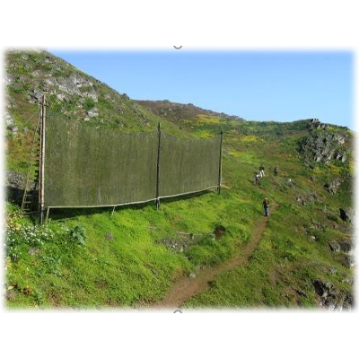 Descripción del Problema - Proyecto Atrapaniebla icon