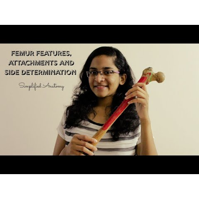 FEMUR | BONES OF LOWER LIMB | ANATOMY | SIMPLIFIED ✔ icon