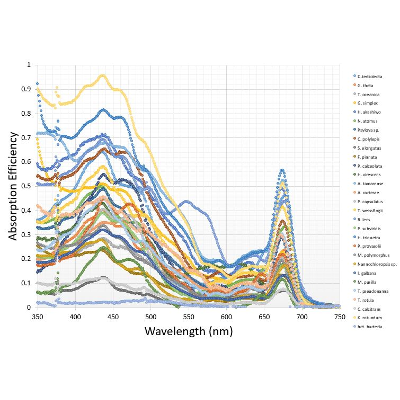 Marine Phytoplankton Bio-Optical Database icon