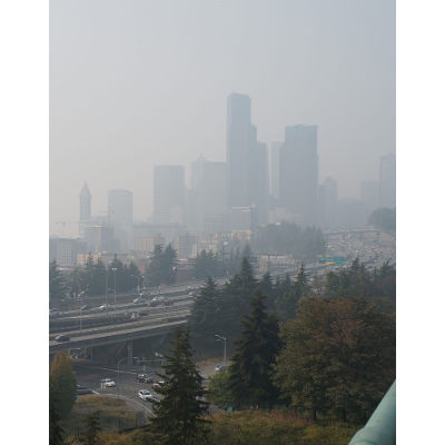 Building a Greener Future: A UW Research Report into Seattle's Climate Justice Movement icon