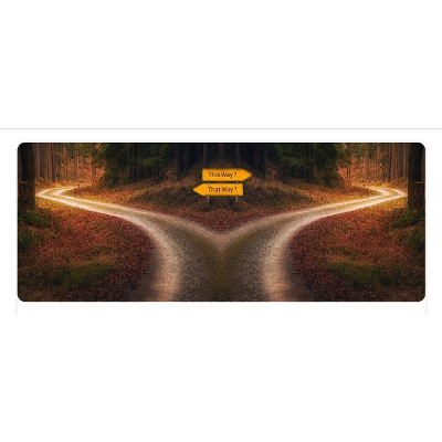 Methods to capture Voice of Customer feedback icon