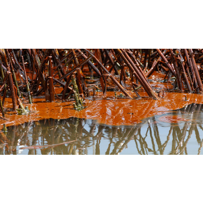 BP and the Deepwater Horizon Disaster of 2010: Case Study icon