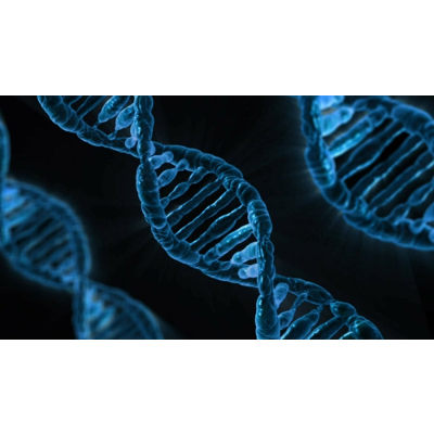 How Does DNA Replication Occur? What Are The Enzymes Involved? icon