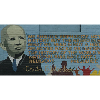 African American History and Culture in the United States icon