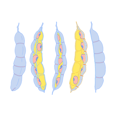 Cell Biology, Genetics & Neuroscience | Narratives & Key Experiments icon
