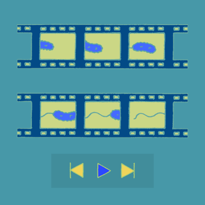 Biology Educational Videos | Resources Library icon