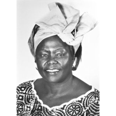 The Nobel Peace Prize 2004 icon