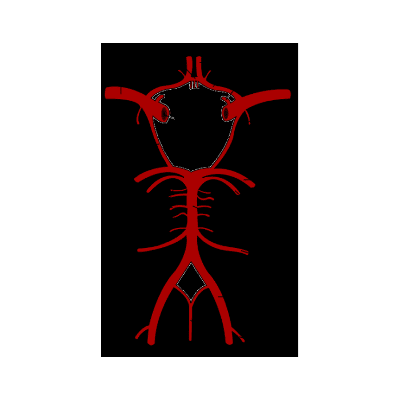 Circle of Willis Challenge Quiz icon