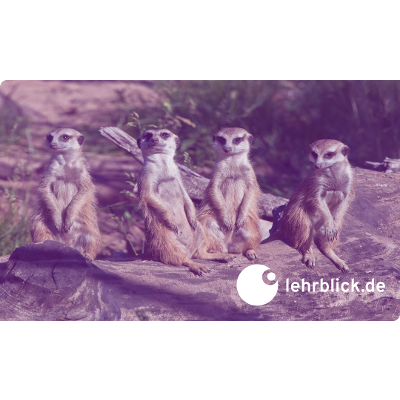 Academic Communities and Pedagogical Culture