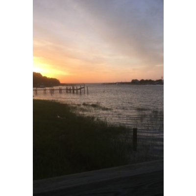 The Ecosphere and Environmental Issues