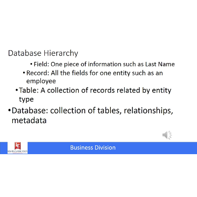 Management Information Systems: Data and Databases icon
