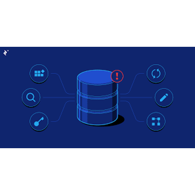 Gestión de los datos y de la información: bases de datos y data warehouses icon