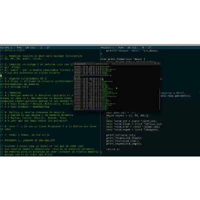 El Universo está Hecho de C #1 - Punteros y Control de Memoria, Usos Profesionales