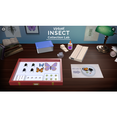 Virtual Insect Collection Lab icon