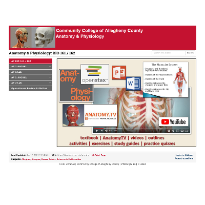 Anatomy & Physiology icon