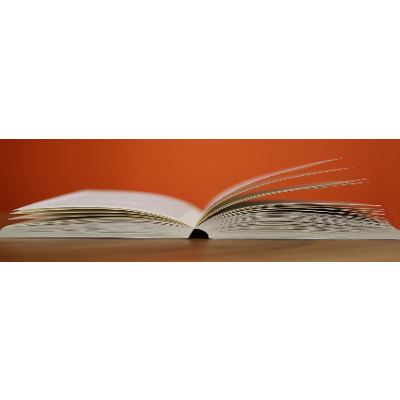 Nursing Theories - Open access articles on nursing theories and      models icon