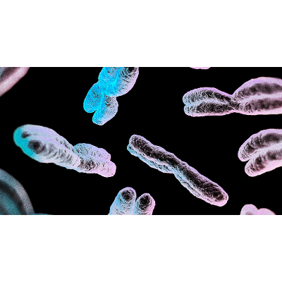 The Male Y Chromosome Has Finally Been Completely Sequenced icon