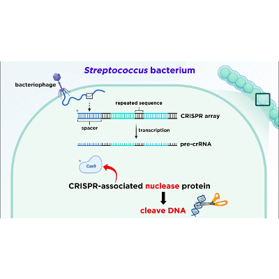 CRISPR-Cas9 Genome Editing Technology icon