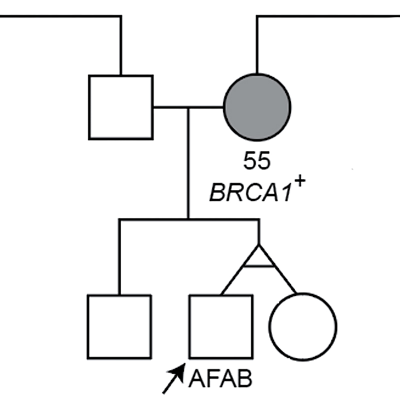 Analyzing Pedigrees icon