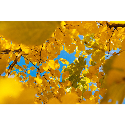 A New Paradigm for Student “Readiness” icon