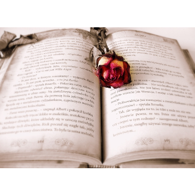 Narrative Techniques of Literary Movements