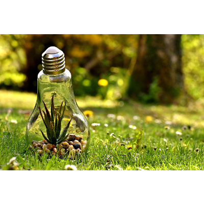 Ecocriticism and Literature