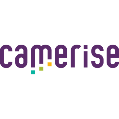 Camerise: 100 Creative ideas to use H5P in language teaching icon