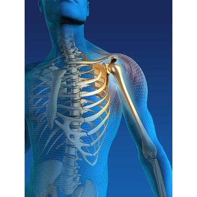 Kinesiology of the Shoulder Complex icon