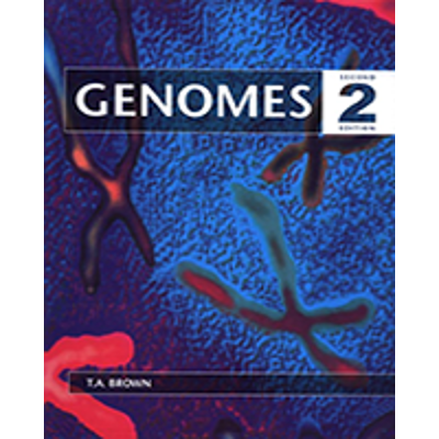 Figure 4.20, The lysogenic infection cycle of bacteriophage λ - Genomes - NCBI Bookshelf icon