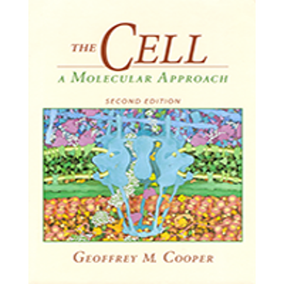 Figure 3.17, Restriction maps of λ and adenovirus DNAs - The Cell - NCBI Bookshelf