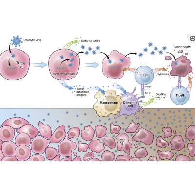 Viral Control of Glioblastoma icon