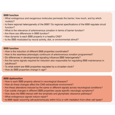 Blood–brain barrier in Health and Disease icon