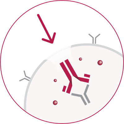 ADCETRIS® A Treatment for Pediatric Classical Hodgkin Lymphoma (cHL) icon