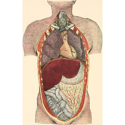 Human Biology 2nd edition icon