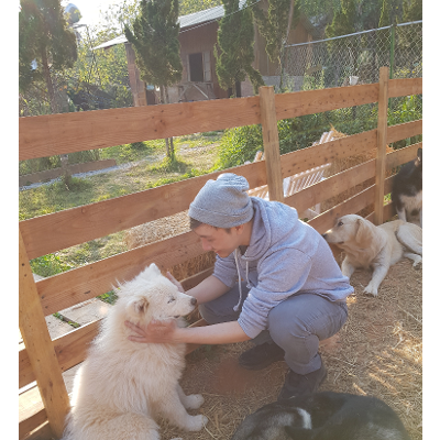 Minh Thai's E-portfolio icon