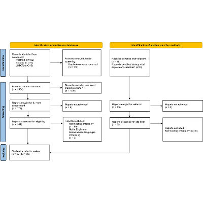 Artificial intelligence and health inequities in primary care: a systematic scoping review and framework - PMC icon