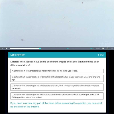 Review: The Origin of Species: The Beak of...