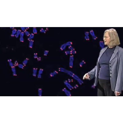 Telomeres and Telomerase