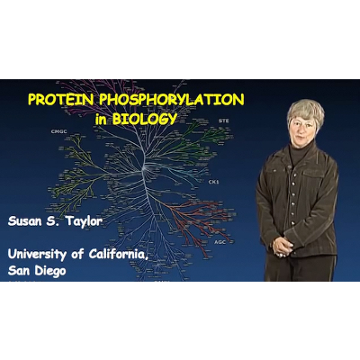 Protein Kinases: Structure, Function, and Regulation icon