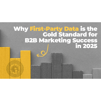 Why First-Party Data is the Standard for B2B Marketing Success icon