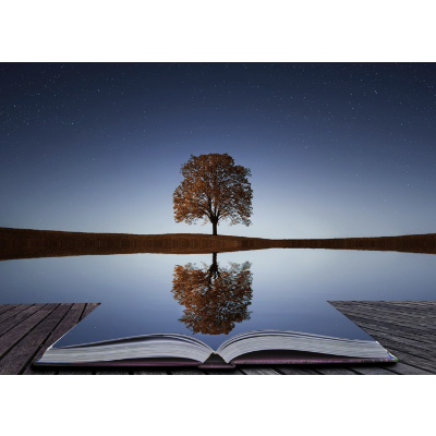 Deaf Literature - Reflection About The Course Assignment icon