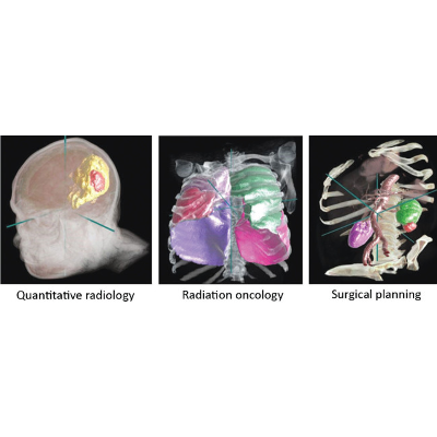 Artificial intelligence in healthcare: transforming the practice of medicine - PMC icon