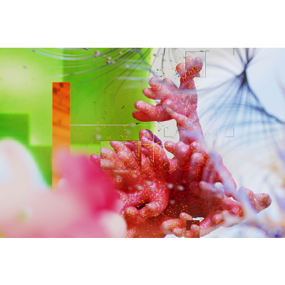 AI Literacies and the Advancement of Opened Culture: Global Perspectives and Practices icon