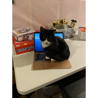 SPC-101 Fundamentals of Oral Communication icon