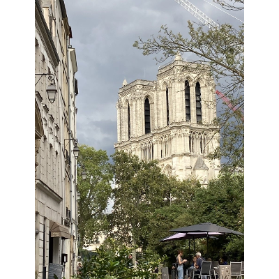 Bon Voyage Volume 1 icon