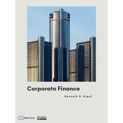Corporate Finance icon