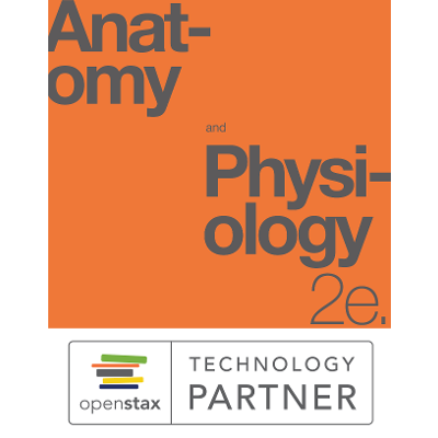 OpenStax Anatomy & Physiology 2e Audio Textbook by Audileo icon