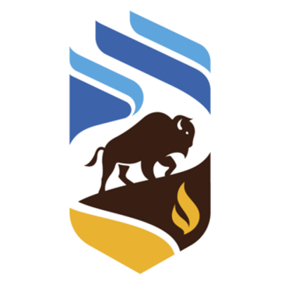 Online Behavioural Research Methods: Programming with jsPsych icon