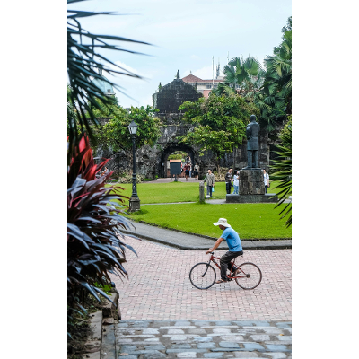 6 The Cardiovascular System icon