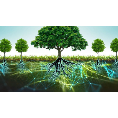 Entorno de aprendizaje rizomático icon